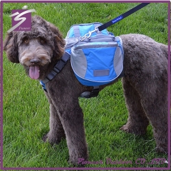 New Portable Pet Bag Carrier Dog Travel Mesh Backpack Head Out Hiking Camping Colorful Pet Supplies